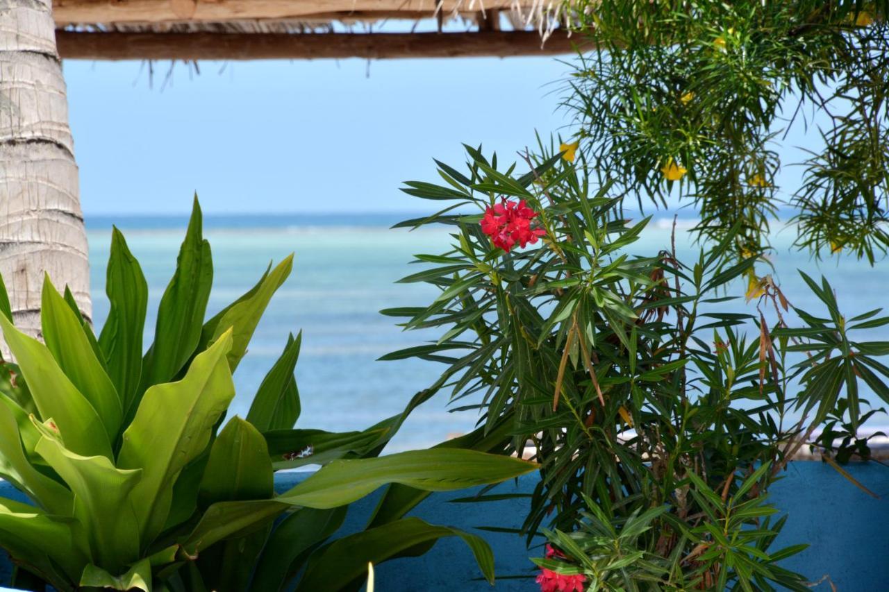 Blu Marlin Village Semesteranläggning (resort) Kiwengwa (Zanzibar)